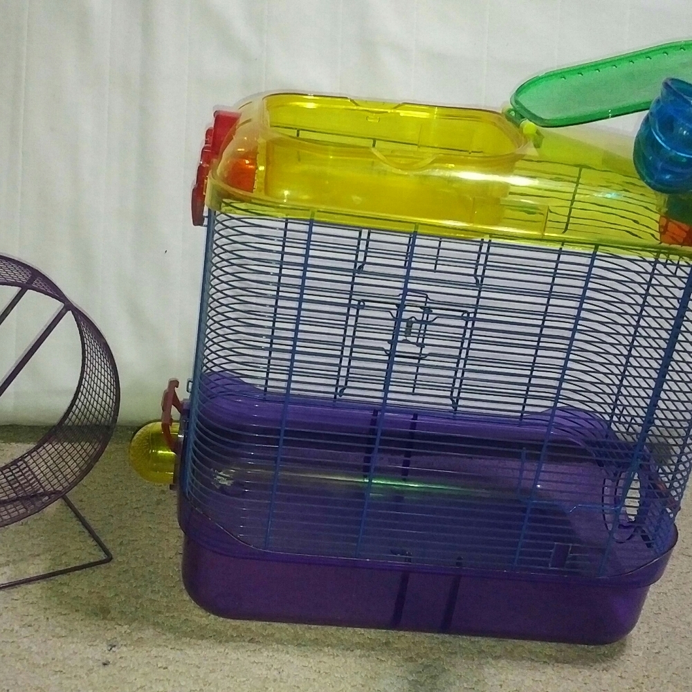 Hmaster Cage - Picture 3 of 3
